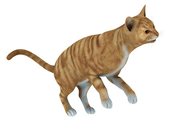 Image showing Red Tabby Cat