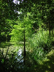 Image showing lake