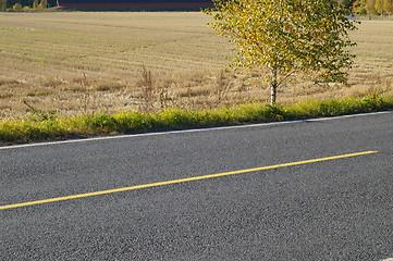 Image showing Road