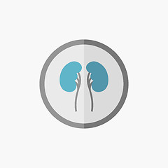 Image showing Kidneys Flat Icon