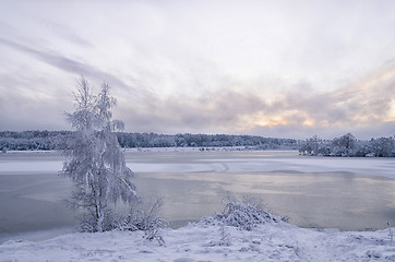 Image showing Winter landscape with lake and trees covered with frost