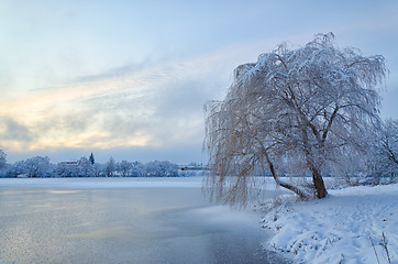 Image showing Winter landscape with lake and tree in the frost