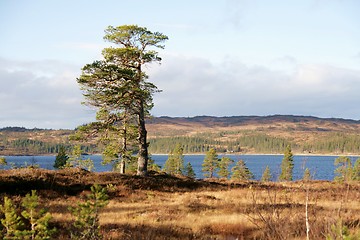 Image showing Landscape by a lake