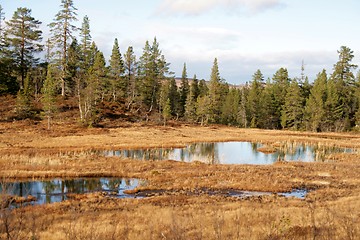 Image showing Ponds