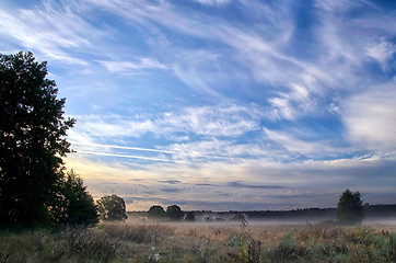 Image showing Landscape with the morning mist