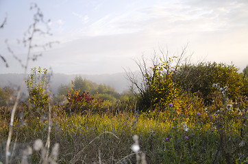 Image showing Sunrise on the meadow