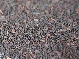 Image showing Loose tea background