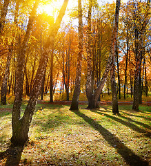 Image showing Autumn park