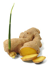 Image showing Ginger root on white