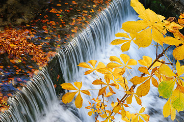 Image showing Waterfall at autumn