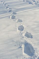 Image showing tracks on the snow