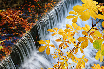 Image showing Waterfall at autumn