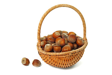 Image showing Hazelnuts