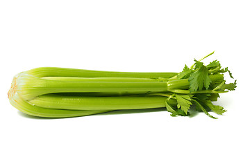 Image showing Celery on White