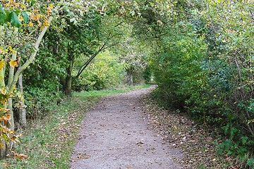 Image showing woodland path