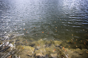 Image showing Bavarian lake Schliersee in autumn 