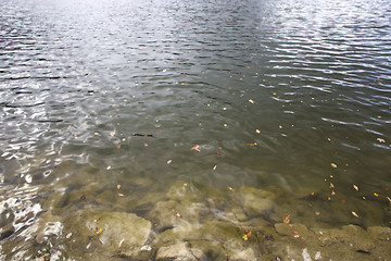 Image showing Bavarian lake Schliersee in autumn 