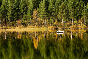 Image showing reflections