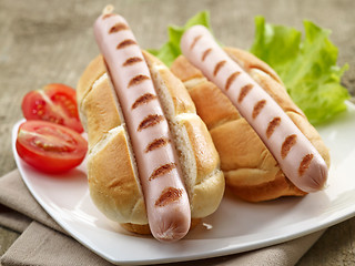 Image showing two hot dogs