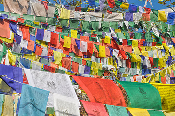 Image showing Buddhist prayer flags in  Dharamshala, India