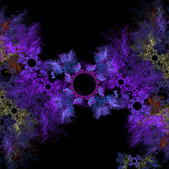 Image showing Symmetrical growth of bacteria