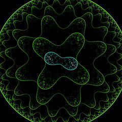 Image showing Symmetrical growth of bacteria