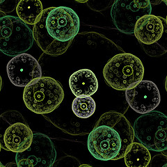 Image showing Symmetrical growth of bacteria