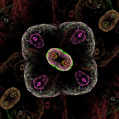 Image showing Symmetrical growth of bacteria