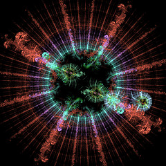 Image showing Symmetrical growth of bacteria