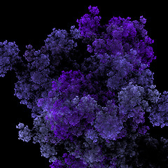 Image showing Symmetrical growth of bacteria