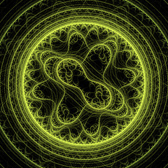 Image showing Symmetrical growth of bacteria