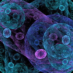 Image showing Symmetrical growth of bacteria