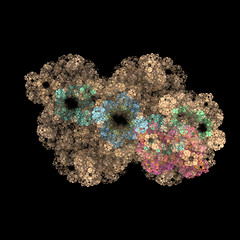 Image showing Symmetrical growth of bacteria