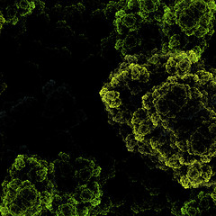 Image showing Symmetrical growth of bacteria