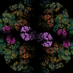 Image showing Symmetrical growth of bacteria