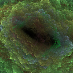 Image showing Symmetrical growth of bacteria