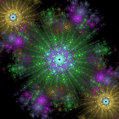 Image showing Symmetrical growth of bacteria