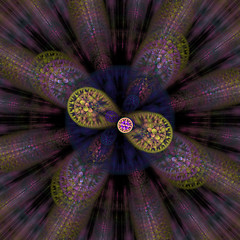 Image showing Symmetrical growth of bacteria