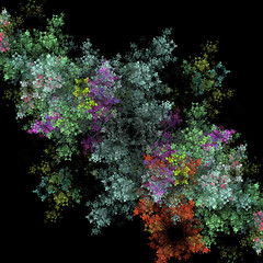 Image showing Symmetrical growth of bacteria