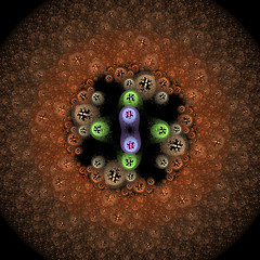 Image showing Symmetrical growth of bacteria