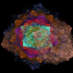 Image showing Symmetrical growth of bacteria