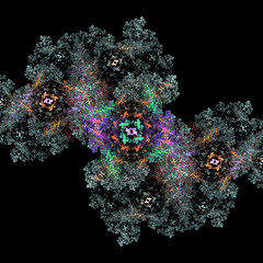 Image showing Symmetrical growth of bacteria