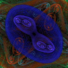 Image showing Symmetrical growth of bacteria