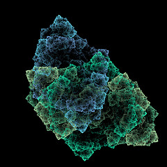 Image showing Symmetrical growth of bacteria