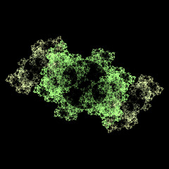 Image showing Symmetrical growth of bacteria