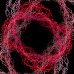 Image showing Symmetrical growth of bacteria