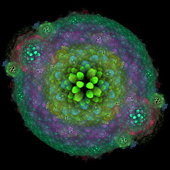 Image showing Symmetrical growth of bacteria