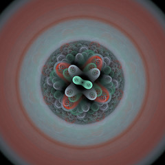 Image showing Symmetrical growth of bacteria