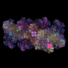 Image showing Symmetrical growth of bacteria