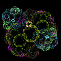 Image showing Symmetrical growth of bacteria